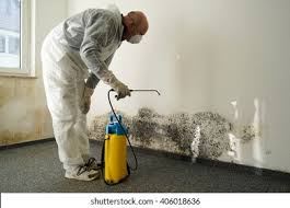 Reliable View Park Windsor Hills, CA Mold Removal Solutions